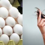 Egg is a natural conditioner, if you use it like this the lost shine of your hair will return - India TV Hindi