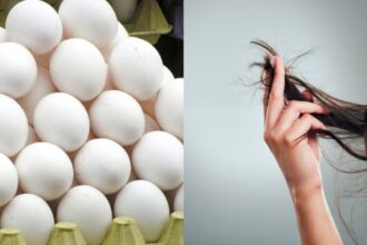 Egg is a natural conditioner, if you use it like this the lost shine of your hair will return - India TV Hindi