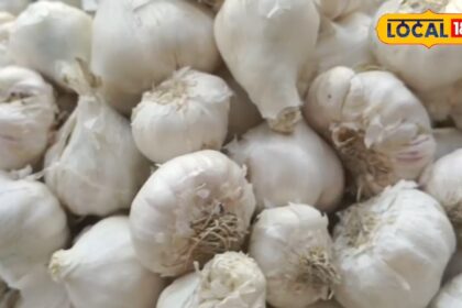 Garlic has amazing benefits. By eating two cloves daily, diseases will not touch you.