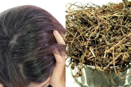 Hair has become gray in youth, use this herb;  You will get black hair in minutes without any side effects - India TV Hindi