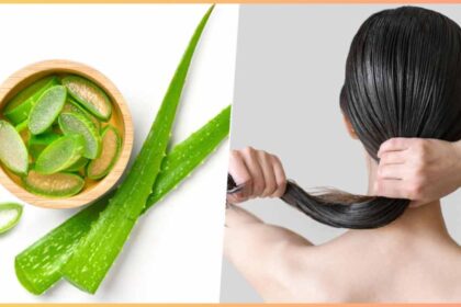 How to make aloe vera gel for hair?  Learn how to make it at home without any expense - India TV Hindi