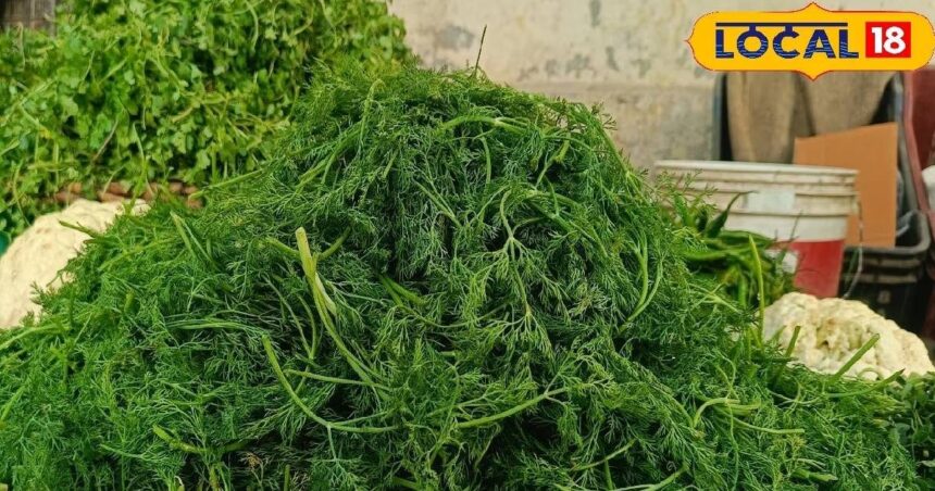 This greens is not only tasty but it is a treasure trove of qualities, it will cure insomnia and depression, know its benefits from the doctor.