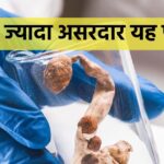 This vegetarian mutton is the father of all mushrooms, it is not just that it is a magic vegetable, it also attacks drug addiction, know where it is available.