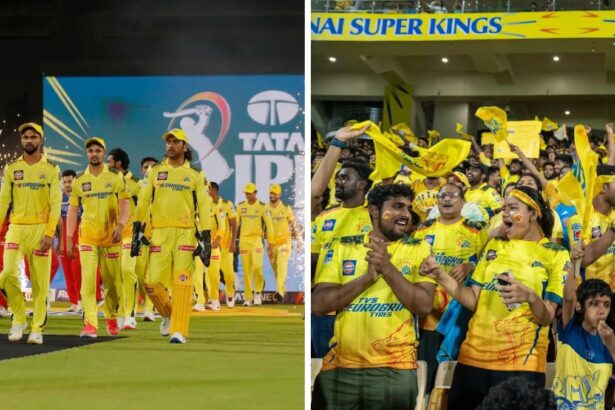 An announcement by BCCI gave the biggest good news to CSK fans, this decision was taken after 12 years - India TV Hindi