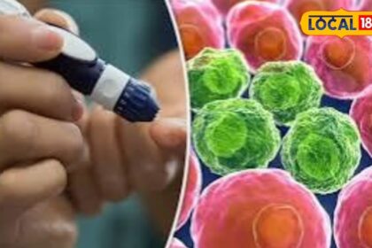 Attention  Diabetic patients are at higher risk of getting cancer, research revealed this