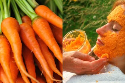 Carrot will put an end to facial darkness and sunburn, know how to use it in skin care?  - India TV Hindi