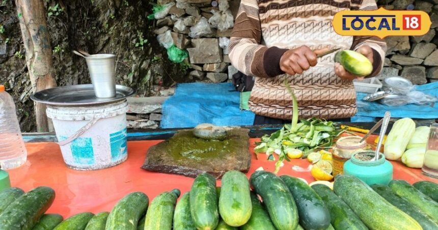 Cucumber and 'Pisu Loon' will be found everywhere in the mountains, a treasure of health along with taste, helpful from reducing obesity to making face glow.
