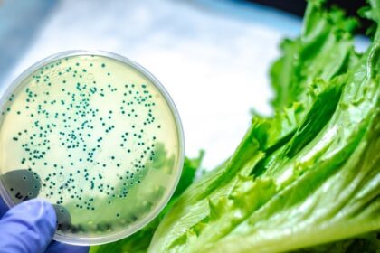 Disease causing bacteria will be exposed, FSSAI is creating food testing lab network in the country, fruits and vegetables will be tested