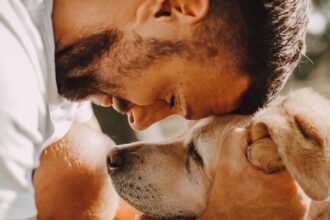 Dogs will tell by smelling a person's breath, whether stress has started, they will be used for treatment!