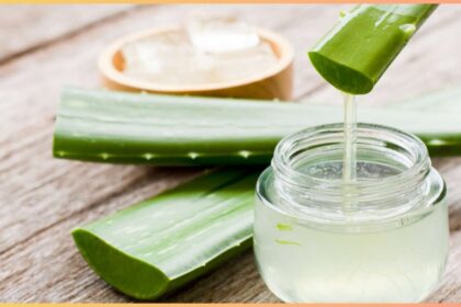For how many minutes should aloe vera be applied?  Know the right way to use it for skin - India TV Hindi