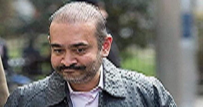 Fugitive Nirav Modi's luxurious bungalow in London will be sold, but he will not get the amount worth crores, Harish Salve gave this argument in the court.