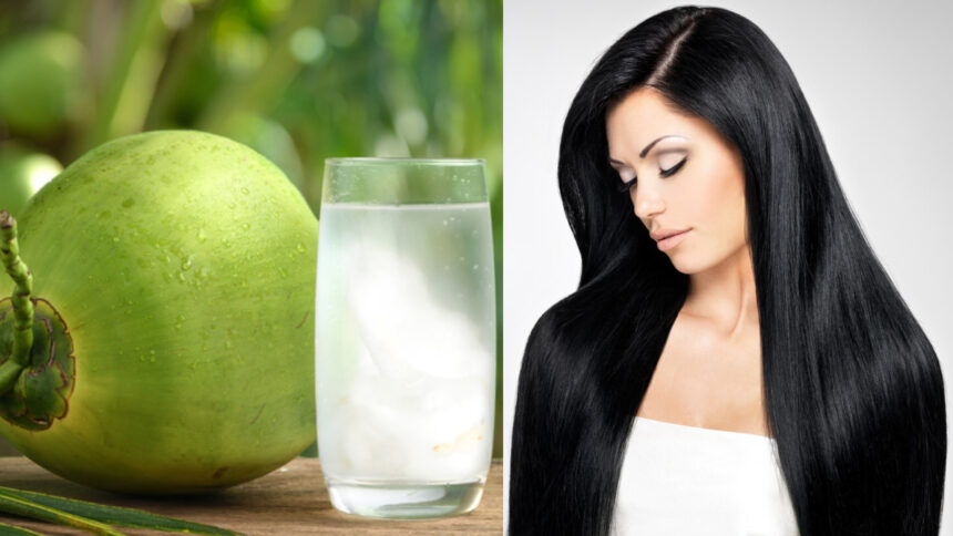 Give coconut water to your hair also, dry lifeless locks will start waving in a few days - India TV Hindi