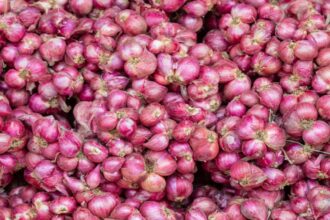 Good news for farmers, government will start purchasing five lakh tonnes of onion in the next two-three days - India TV Hindi