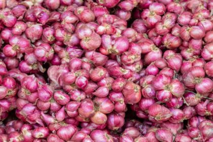 Good news for farmers, government will start purchasing five lakh tonnes of onion in the next two-three days - India TV Hindi