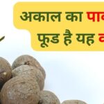 Healing pill for health: This amazing tuber is expert in uprooting thyroid and men's diseases, it is a powerhouse of energy.