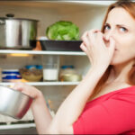 Keep these 2 leaves in the fridge, the smell and bacteria coming from food will always stay away - India TV Hindi