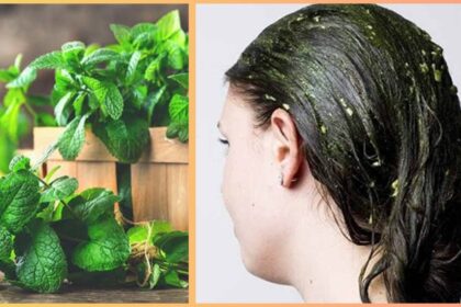 Mint hair pack can help in hair regrowth, just use it like this - India TV Hindi