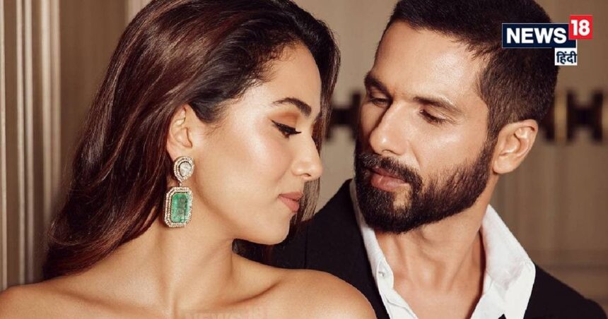 Not Shahid Kapoor, this handsome Bollywood actor is wife Mira Rajput's crush, 'Kabir Singh' himself revealed