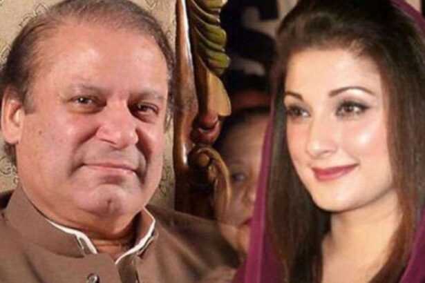 Pakistan: Maryam CM of Punjab, but Nawaz Sharif is taking all the decisions, controversy arises - India TV Hindi