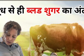 Scientists have done wonders inside the cow, now the mother cow will give milk with insulin, which will help the diabetic people.