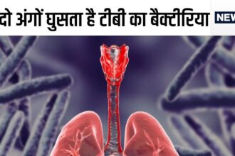 TB bacteria enters the body through these two organs, be it lungs or brain, turns into a skeleton, there is only one way for protection..