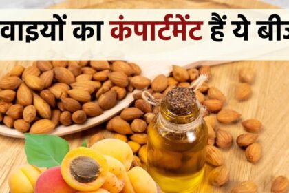 The seeds of the fruit which are thrown away considering them as garbage are used to make life saving medicine for diseases like skin, heart etc.