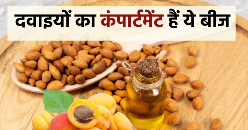The seeds of the fruit which are thrown away considering them as garbage are used to make life saving medicine for diseases like skin, heart etc.