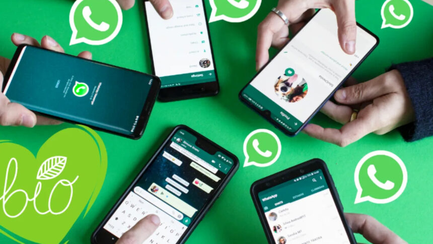 The wait of millions of WhatsApp users is over!  5 powerful features are coming, chatting will be more fun - India TV Hindi
