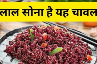 There is a lot of rice but there is no answer to 'Red Rice', it repairs every organ, makes the body steel.