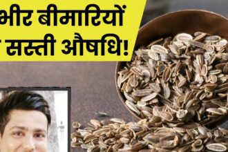 These seeds look small but are amazing for health, if consumed for 1 week, diabetes will be under control, digestive system will also remain strong.