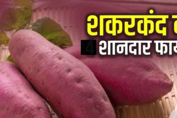 This vegetable is full of powerful properties, if consumed even for one month, life will become happy, it destroys 5 serious diseases.