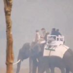 PM Modi rides elephant in Kaziranga National Park, watch video - India TV Hindi