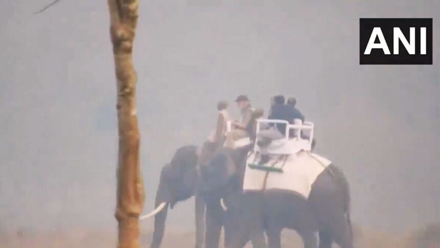PM Modi rides elephant in Kaziranga National Park, watch video - India TV Hindi