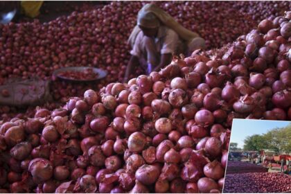 Despite export ban, India is continuously sending thousands of tonnes of onions to this country - India TV Hindi