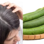 Have you ever applied oil made from bottle gourd and ridge gourd to your hair?  Can turn white hair black - India TV Hindi