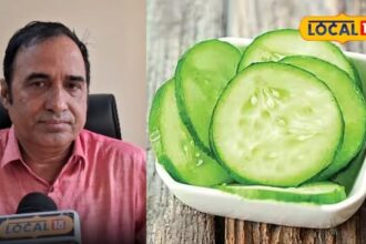 How beneficial is eating cucumber in summer?  Can put an end to cancer and tumor, expert told the features
