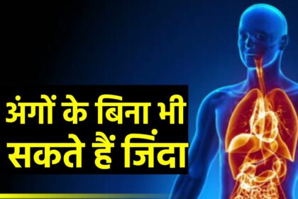 If 5 organs including stomach and kidney are removed from the body, a person can still remain alive.