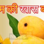 Interesting Fact: Is it necessary to soak mango in water before eating?  Know what is the right way