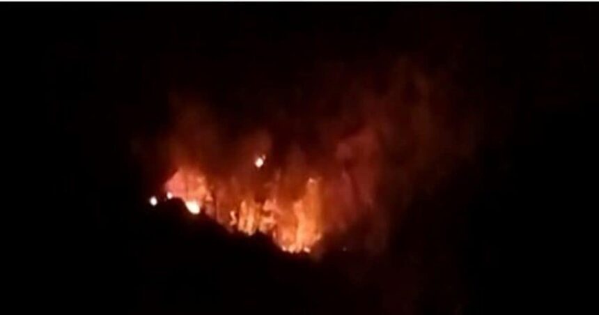 OMG!  Fire was set on a mountain in Bihar, people of Shekhpura got scared after seeing the fierce flames, fire brigade squad reached