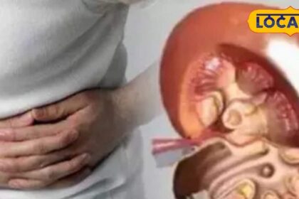 The body gives signals before kidney damage occurs, be alert immediately