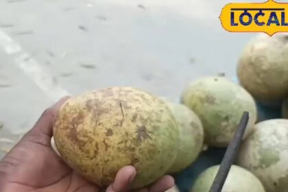 This sherbet will cure stomach ailment!  You will feel cool in summer, know its unique benefits