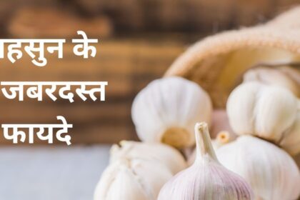 This spice, which is very spicy in taste, can destroy many diseases from their roots, keeps immunity and digestion strong, eating raw will give 6 benefits.