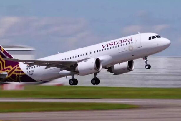 Vistara, facing pilot crisis, reduced flights by 10%, summer schedule will be affected - India TV Hindi