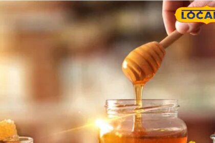 Will color tell the real identity of honey?  This advice from the scientist will remove all doubts in no time, try it too.