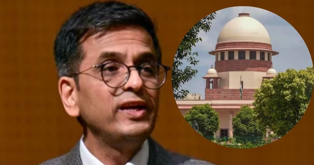 'thank God!'  When CJI DY Chandrachud said in the full court - This is a scam..., he said - High Court's decision..