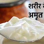 Consume curd extensively in summer, you will not fall victim to this dangerous disease.