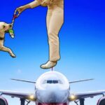 Good news for dog lovers!  You will be able to travel with a 10 kg stomach in this airline