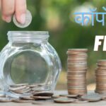 If you want great returns then these 5 corporate FDs can be your choice, rating is good - India TV Hindi