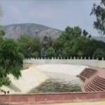 Panch Hills of Rajgir is the stronghold of rare herbs, business will be done across the country
