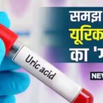 What should be the uric acid level in your body?  When to understand the alarm bells, check the chart
